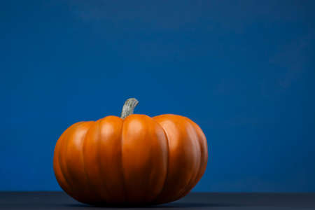 Mini pumpkins with colored backgroundの写真素材