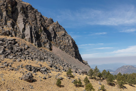 Ocote trees (Pinus montezumae) at the foot of a rocky mountain with the sky in the backgroundの写真素材