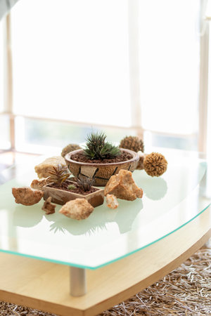 Small succulents and rocks creating a relaxing spa atmosphere on a glass tableの写真素材