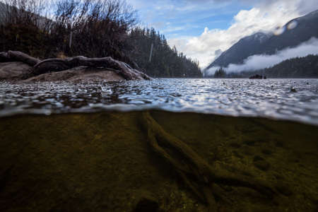 Over and Under picture of a beautiful nature landscape at Buntzen Lake, Anmore, Greater Vancouver, BC, Canada. Taken during a cloudy spring day.の写真素材