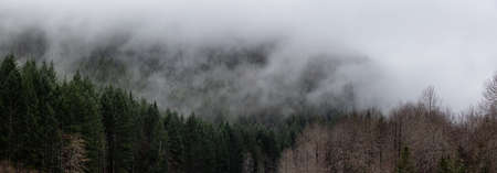 Beautiful Panoramic View of Canadian Nature Landscape during a cloudy day. Taken between Tofino and Port Alberni, Vancouver Island, British Columbia, Canada.の写真素材