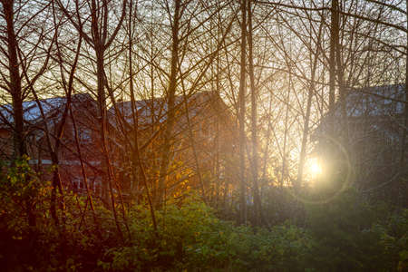 Sunny Sunrise in Residential Neighborhood of a small town, Ucluelet, during Autumn Season. Located in Vancouver Island, British Columbia, Canada.の写真素材