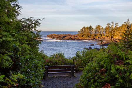 Wild Pacifc Trail, Ucluelet, Vancouver Island, BC, Canada. Beautiful View of the Rocky Ocean Coast during a colorful and vibrant morning sunrise.の写真素材