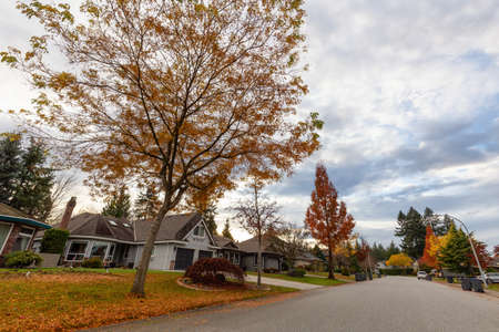 Fraser Heights, Surrey, Greater Vancouver, BC, Canada. Beautiful Street view in the Residential Neighborhood during a colorful Autumn Season and cloudy sunset sky.の写真素材