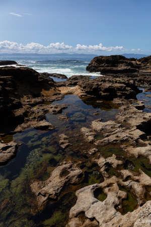 Botanical Beach, Port Renfrew, Vancouver Island, British Columbia, Canada. Beautiful View of a Rocky...