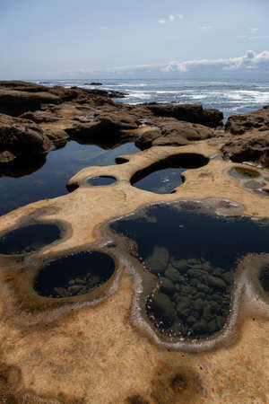 Botanical Beach, Port Renfrew, Vancouver Island, British Columbia, Canada. Beautiful View of a Rocky...