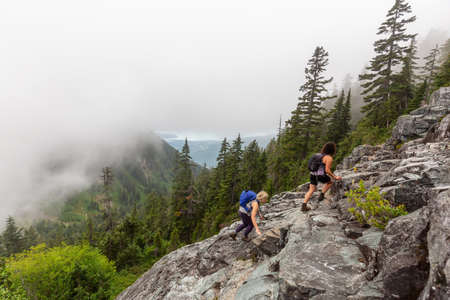 Adventurous Girl is hiking in beautiful green woods in the mountains during a cloudy summer morning....