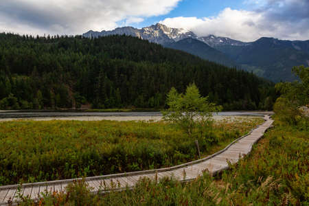 Wooden walking path on One Mile Lake with green vibrant plants and leafs. Picture taken in Pemberton, British Columbia (BC), Canada, on a cloudy summer day.の写真素材
