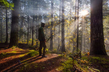 Adventure Man enjoying the Beautiful Canadian Nature View of the Forest during a foggy morning...