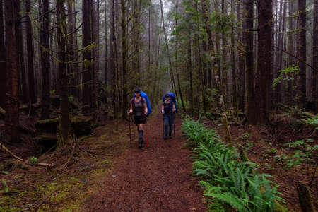 Adventurous female friends are hiking Juan de Fuca Trail in the woods during a misty and rainy...