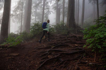Adventurous girl hiking on a trail in the woods during a foggy and rainy day. Taken in Cypress Provincial Park, Vancouver, British Columbia, Canada.の写真素材