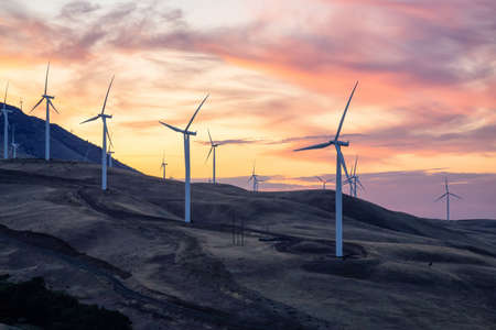 Beautiful Landscape View of Wind Turbines on a Windy Hill during a colorful sunrise. Taken in Washington State, United States of America.の写真素材
