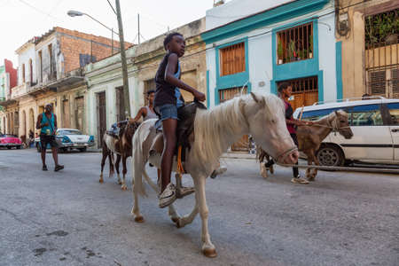 Havana, Cuba - May 27, 2019: Young teenage Cuban boys with a little horse in the streets of the Old Havana City, Capital of Cuba, during a bright and sunny evening.のeditorial素材