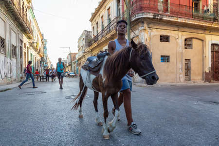 Havana, Cuba - May 27, 2019: Young teenage Cuban boys with a little horse in the streets of the Old Havana City, Capital of Cuba, during a bright and sunny evening.のeditorial素材