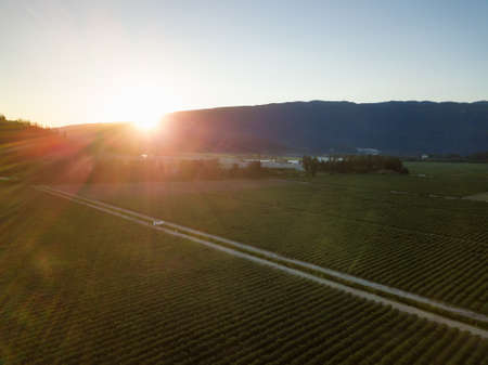 Aerial view of the farm fields during a vibrant summer sunset. Taken in Pitt Meadows, Greater...