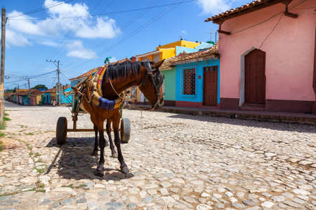 Trinidad, Cuba - June 08, 2019: Horse Riding in the Streets of a small Cuban Town during a vibrant sunny day.のeditorial素材