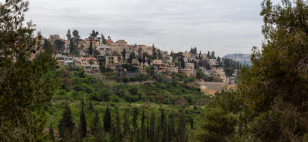 Beautiful view of residential homes on top of a hill in a city during a cloudy day. Taken in...