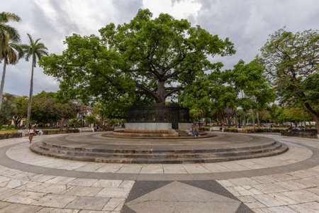 Havana, Cuba - May 14, 2019: Beautiful view of a park in the Old Havana City, Capital of Cuba, during a bright and sunny day.のeditorial素材