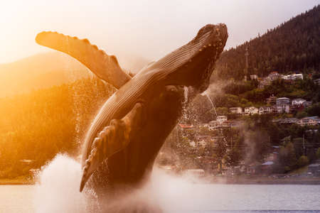 Juneau, Alaska, United States of America - September 23, 2019: Statue of a Big Wale jumping out from water in a small touristic town.のeditorial素材