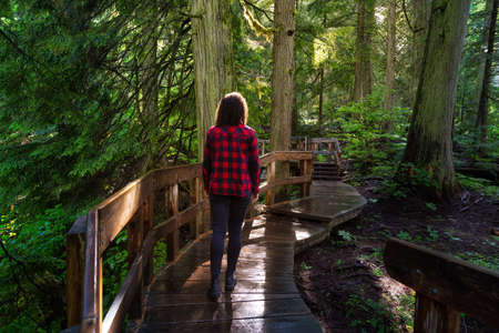 Adventure Girl Walking on a Wooden Pathway in the Rain Forest during a vibrant sunny day. Taken on...