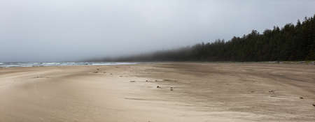 Panoramic View of Beautiful Sandy Beach on the Pacific Ocean Coast during a foggy morning. Taken in Raft Cove, Northern Vancouver Island, British Columbia, Canada. Nature Background Panoramaの写真素材