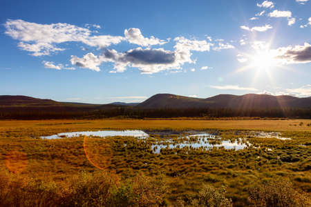 Beautiful View of the Meadow Fields during a sunny sunset in Fall Season. North of Whitehorse,...