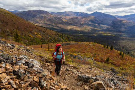 Girl Hiking up Scenic Rocky Trail in the Fall, surrounded by Mountains in Canadian Nature. Taken in Tombstone Territorial Park, Yukon, Canada.の写真素材