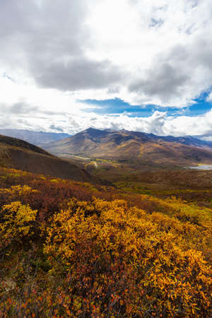 Scenic View of Road, Landscape and Mountains on a Colorful Fall Day in Canadian Nature. Taken in Tombstone Territorial Park, Yukon, Canada.の写真素材