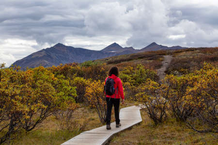 Woman Hiking along Scenic Trail surrounded by Mountains on a Cloudy Fall Day in Canadian Nature. Taken in Tombstone Territorial Park, Yukon, Canada.の写真素材