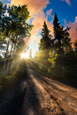 Dirt Road leading into the forest during a fall season. Canadian Mountain Landscape. Yukon, Canada. Dramatic Colorful Sunset with Sunrays Artistic Renderの写真素材
