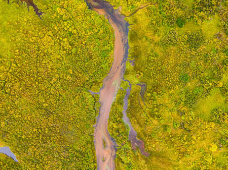 Aerial view of colorful pond in the marshlands during a summer day.