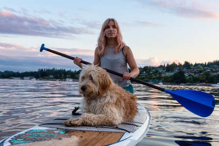 Girl with a dog on a paddle board during a vibrant summer sunset. Taken in Deep Cove, North...