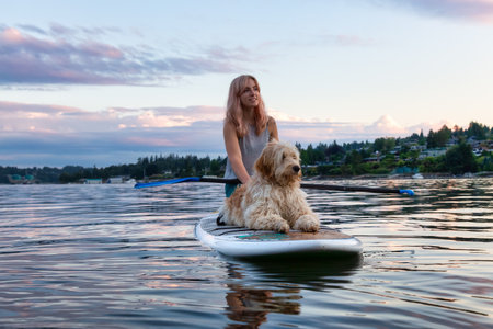 Girl with a dog on a paddle board during a vibrant summer sunset. Taken in Deep Cove, North Vancouver, BC, Canada.の写真素材