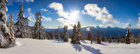 Panoramic View of Canadian Nature Landscape on top of snow covered mountain and green trees in spring. Taken on a snowshoe hike up Elfin Lake in Squamish, North of Vancouver, BC, Canada.の写真素材
