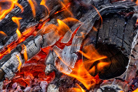 Close up picture of wood burning in a camp fire. Hot Red Flames. Taken in British Columbia, Canada.