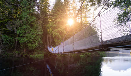 View of Suspension Bridge over the water in Green and Vibrant Rain Forest during a sunny summer day....