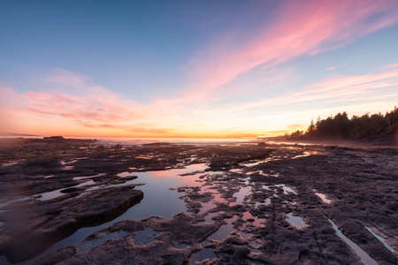 Botanical Beach on the West Coast of Pacific Ocean. Summer Sunny Sunset. Canadian Nature Landscape Background. Located in Port Renfrew near Victoria, Vancouver Island, British Columbia, Canada.の写真素材