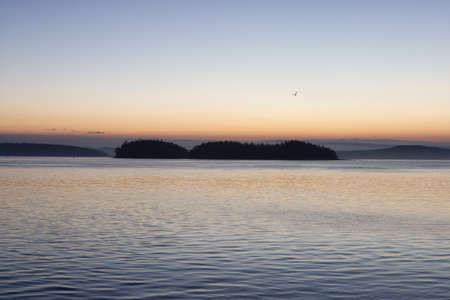 Gulf Islands on the West Coast of Pacific Ocean. Canadian Nature Landscape Background. Summer Sunrise. Victoria, Vancouver Island, BC, Canada.の写真素材