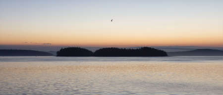 Gulf Islands on the West Coast of Pacific Ocean. Canadian Nature Landscape Background. Summer Sunrise. Victoria, Vancouver Island, BC, Canada.の写真素材