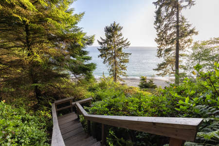 Hiking Path to Sandcut Beach in the Vibrant Rainforest and colorful green trees. Located near Victoria, Vancouver Island, British Columbia, Canada.の写真素材