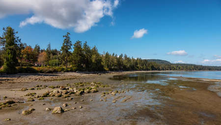 Scenic Shore on Pacific Ocean West Coast. Sunny Summer Day. Fernwood Point Beach, Salt Spring...