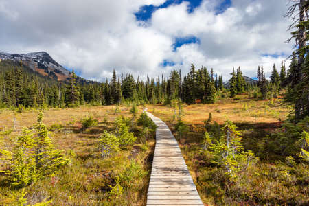 Hiking trail outdoors in Canadian nature. Sunny Fall Season. Taken in Garibaldi Provincial Park, located near Whistler and Squamish, North of Vancouver, BC, Canada.の写真素材