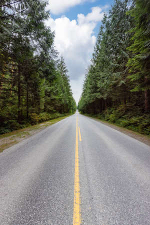 Scenic Road in the Green Canadian Rain Forest. Golden Ears Provincial Park, Greater Vancouver,...