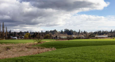 Green Fields, Farm lands and residential homes in background. Sunny and cloudy sky. Langley,...