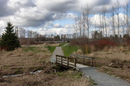 Scenic path in a park with green field and trees in a city. Sunny Sky with clouds. Derek Doubleday...