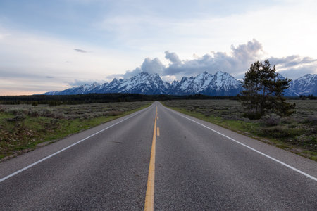 Scenic Road surrounded by Mountains and Trees in American Landscape. Spring Season. Grand Teton...