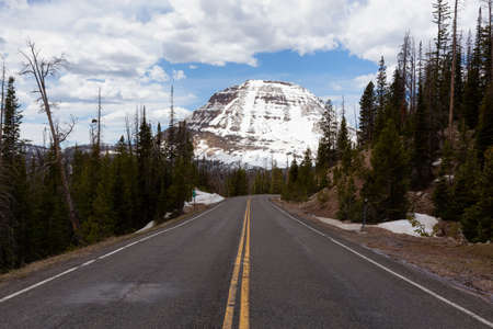 Scenic Road, Snowy Mountain and Trees. Spring Season. Hayden Pass, Utah. United States. Nature Background.の写真素材