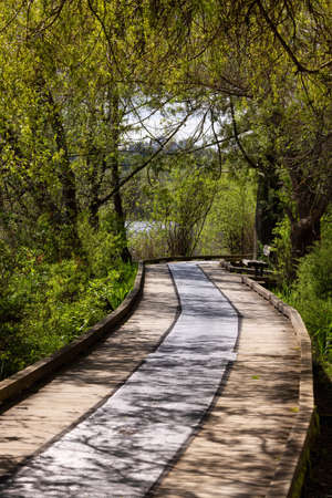 Walking Trail in a vibrant city park. Sunny Spring Day. Deer Lake, Burnaby, Vancouver, BC, Canada.