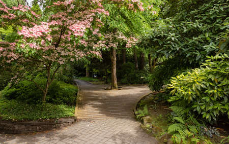 Sendall Gardens in a modern suburban city park. Summer season. Langley, Greater Vancouver, British Columbia, Canada.の写真素材