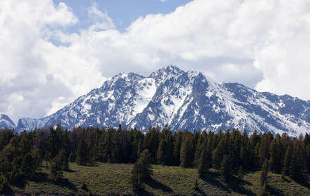 Trees, Land and Mountains in American Landscape. Spring Season. Grand Teton National Park. Wyoming,...